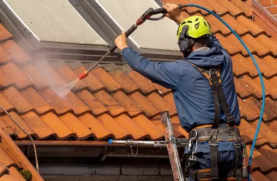 Démoussage et hydrofuge de toiture à Arzal